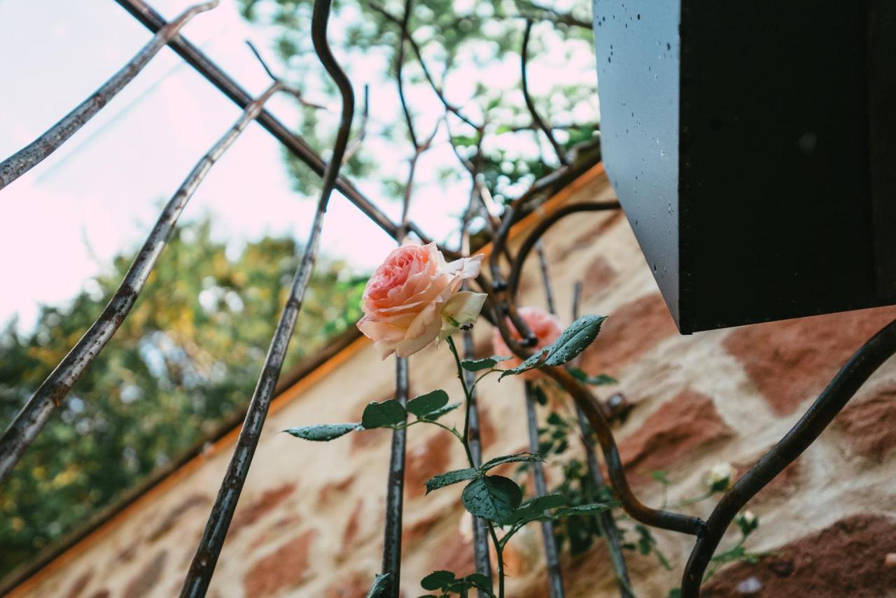 شقة Domaine Boheme I Art De Vivre غيبووييه المظهر الخارجي الصورة